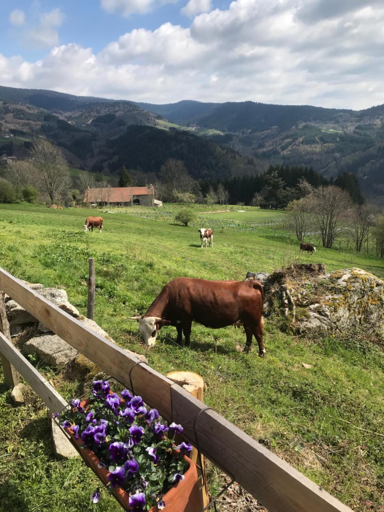 La Source D'En Haut Valcivieres Экстерьер фото