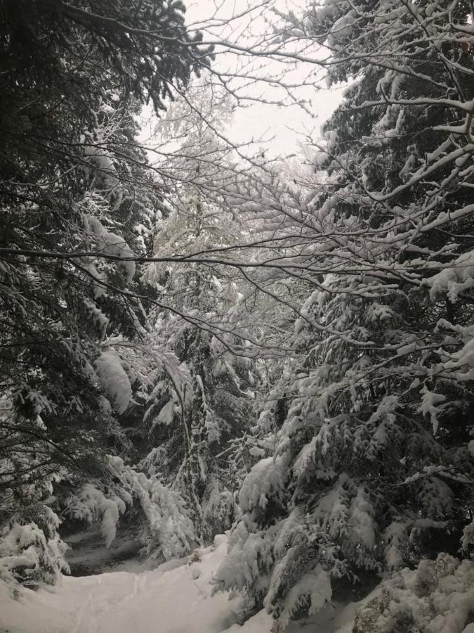 La Source D'En Haut Valcivieres Экстерьер фото